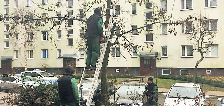 "Rosną" parkingi, drzewa są wycinane. Wszystko zgodnie z prawem?