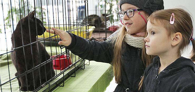 "Dom bez kota to głupota". Bezdomne mruczki zaprezentowały się po raz czwarty