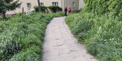 Chodnik midzy Robotnicz a Prchnika bdzie jak nowy. Za jego remontem zagosowao... 40 osb