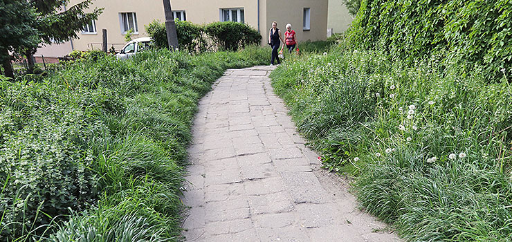 Chodnik między Robotniczą a Próchnika będzie jak nowy. Za jego remontem zagłosowało... 40 osób