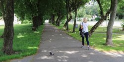 Elblanie narzekaj - przy Tysiclecia nie ma ani jednego mietnika, a teren, na ktrym rosn lipy jest zaniedbywany