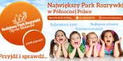 Dobra zabawa to podstawa!!! - wygraj rodzinne zaproszenie 