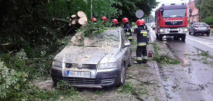 Bema: Drzewo runęło na samochód. Nikt nie ucierpiał