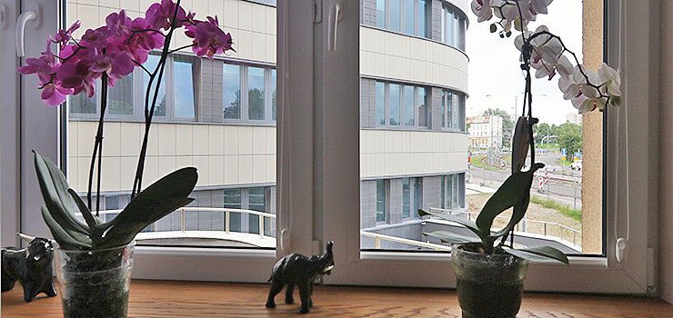 "Niby ładny, ale trochę nam żal, że nasz głos został zignorowany". Życie w cieniu elbląskiej temidy