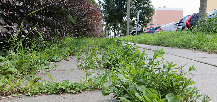 Czy tak powinien wyglądać chodnik na jednej z najdłuższych ulic w mieście?