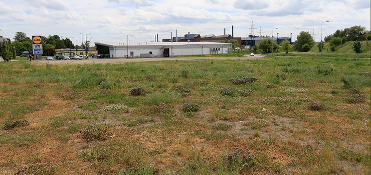 Obok Lidla na Browarnej powstanie kolejny obiekt handlowy?