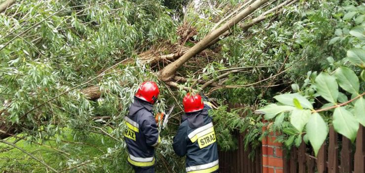 Nadal trwa usuwanie skutków nawałnicy na Pomorzu. Strażacy z Elbląga ruszyli z pomocą