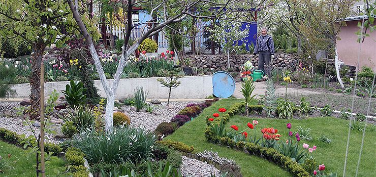 Działkowcy wyczerpali tylko połowę puli. Wiemy, które ogrody otrzymają dofinansowanie z miasta