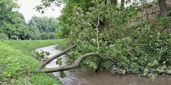 Przewr�ci�o si� niech le�y? Elbl�skie parki jeszcze poczekaj� na sprz�tanie po nawa�nicy