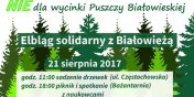 Posad drzewko w gecie solidarnoci z obrocami Puszczy Biaowieskiej