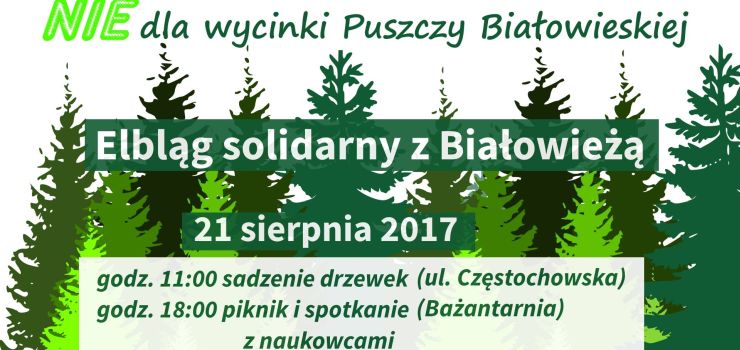 Posad drzewko w gecie solidarnoci z obrocami Puszczy Biaowieskiej