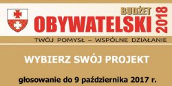 Bud�et Obywatelski - rusza g�osowanie