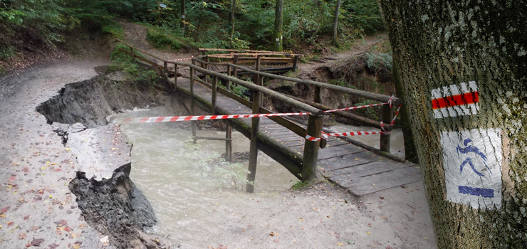 Bażantarnia częściowo wyłączona z użytkowania - zobacz zdjęcia szkód wywołanych ulewą