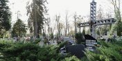 Tajemnicze groby na elblskim cmentarzu. Kto tu jest pochowany?