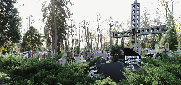 Tajemnicze groby na elbląskim cmentarzu. Kto tu jest pochowany?