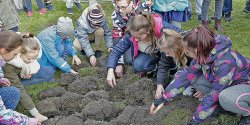  Elblg zakwitnie nadziej. SP nr 19 wczya si w akcj na rzecz hospicjum