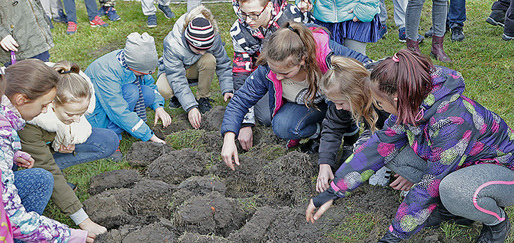 Elbląg zakwitnie nadzieją. SP nr 19 włączyła się w akcję na rzecz hospicjum