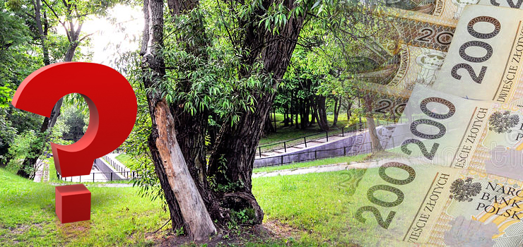 Park Dolinka miał zyskać nowe oblicze. Elbląg straci szansę na pozyskanie kilku milionów zł dofinansowania?