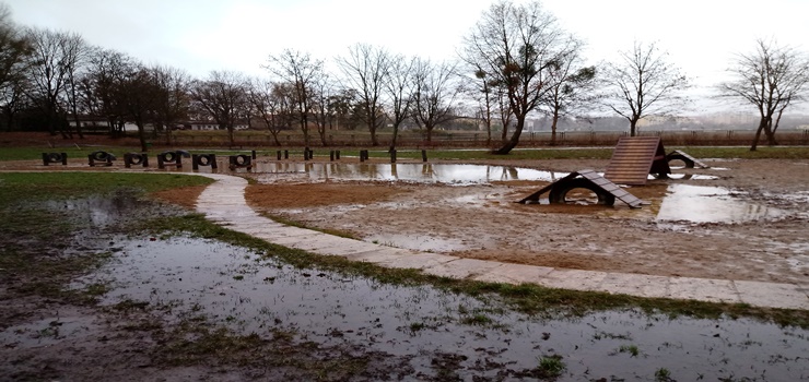Park dla Psów w Elblągu tonie w błocie! Inwestycja jedynie sezonowa?
