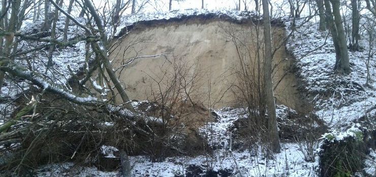 Gmina Tolkmicko: Skarpa wraz z drzewami osunęła się na drogę