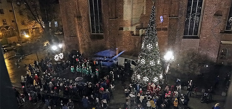 Rozbłysła miejska choinka. Elblążanie poczuli ducha zbliżających się świąt