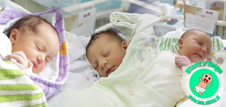 Witamy w Elblągu: Jagnę, Marysię i Karinę!