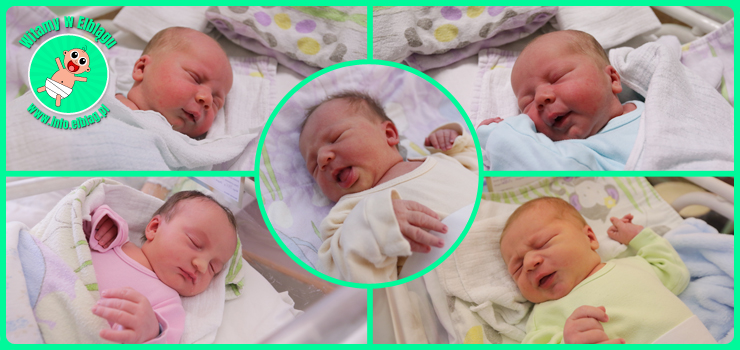 Witamy w Elblągu: Igorów, Hanię, Jana i Paulinę!