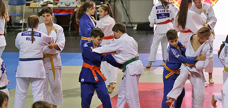 Do Elbląga przyjechały tłumy. To dzięki Judo Camp