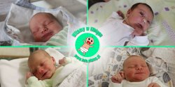 Witamy w Elblgu: Dominik, Ameli, Leona i Aleksandra!