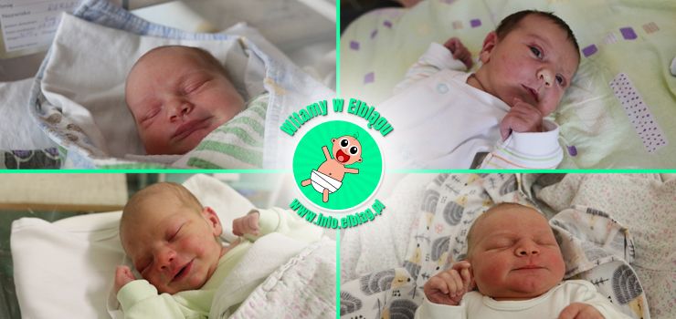 Witamy w Elblągu: Dominikę, Amelię, Leona i Aleksandra!