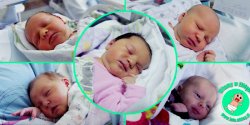 Witamy w Elblgu: Daniela, Len, Borysa, Dawida i Michalina!