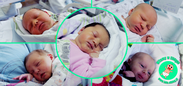 Witamy w Elblągu: Daniela, Lenę, Borysa, Dawida i Michalina!