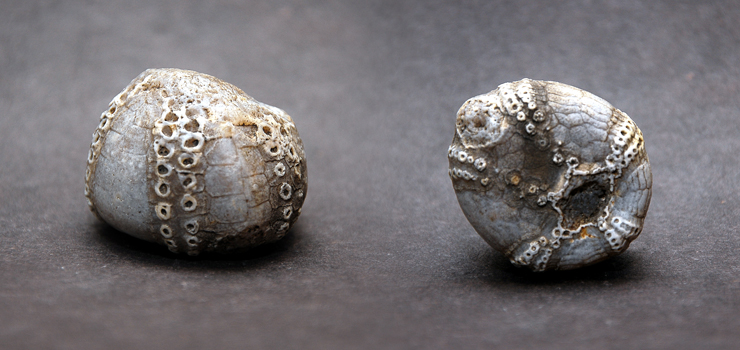 Mamo, tato znalazłem..... pioruna!