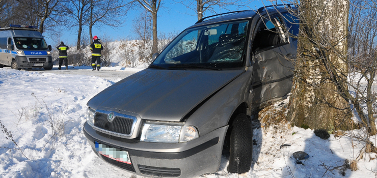 Wpadł w poślizg i uderzył w drzewo. 60-latek przewieziny do szpitala