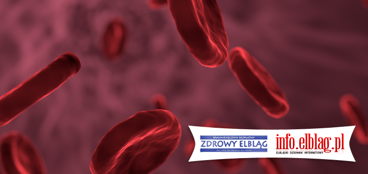 Zdrowy Elbląg: Niezbędne bakterie