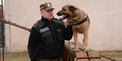 Pies Stra�y Granicznej wyw�szy� narkotyki