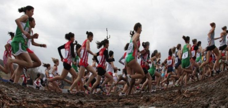 Elbląg: Międzywojewódzkie Mistrzostwa U16 w Biegach Przełajowych