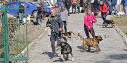 Za nami Wielkonocny Bieg na Sze ap - zobacz zdjcia