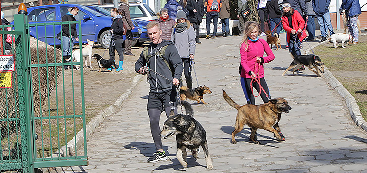 Za nami Wielkonocny Bieg na Sześć Łap - zobacz zdjęcia
