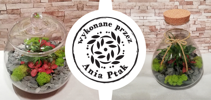 Las w sercu miasta czyli żywa natura w szkle – wygraj LAS w słoiku