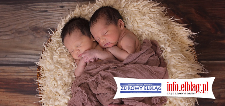 ZDROWY ELBLĄG: Bliźniaki!