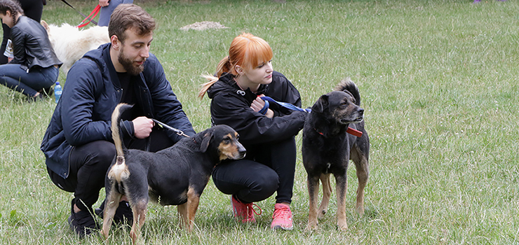Kolejna edycja okazała się strzałem w dziesiątkę. Zobacz zdjęcia z Biegu na Sześć Łap