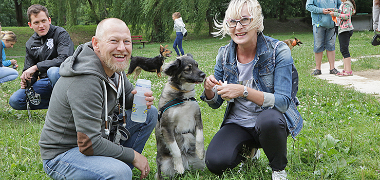 Pies z drugiej rki, przyjaciel pierwsza klasa. Za nami spotkanie rodzinne adopsiakw