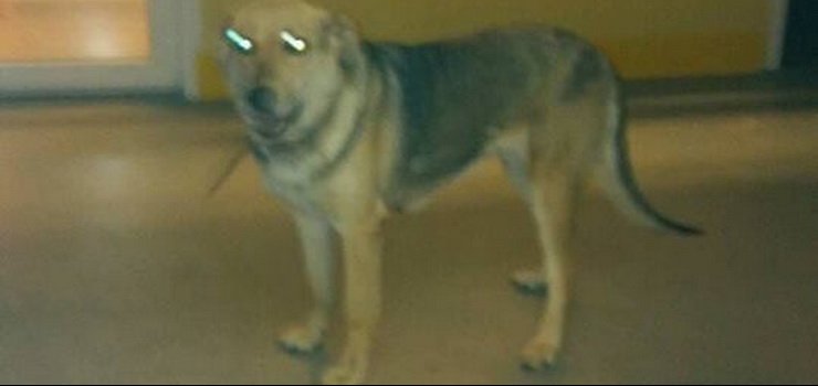 Dajmy jej szanse na lepsze jutro