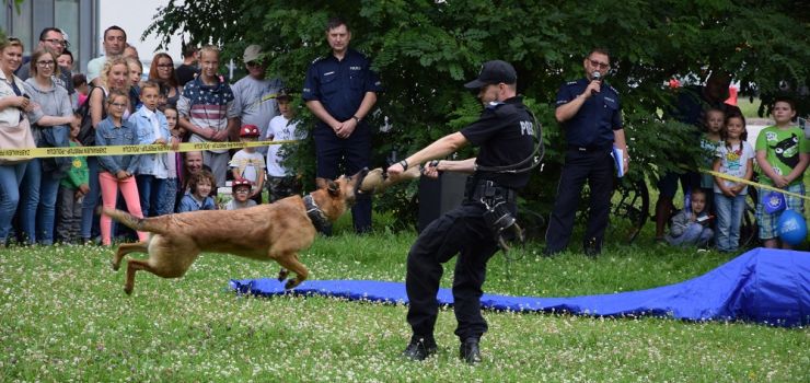 Niebawem wito Policji. Jak bdziemy je obchodzi w Elblgu?