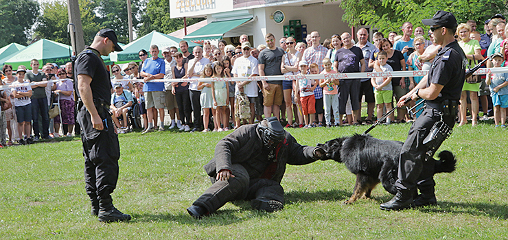 Moc atrakcji na Starówce z okazji Święta Policji - zobacz zdjęcia z Festynu