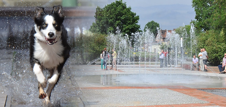 Z uroków fontanny korzystają już wszyscy, czyli jak można poradzić sobie w czasie upałów