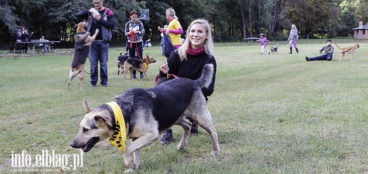 Czas na powrót do Biegów na Sześć Łap!  Zobacz naszą fotorelację