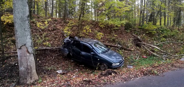Kierowcy, noga z gazu! – wczoraj w Elblągu 12 kolizji