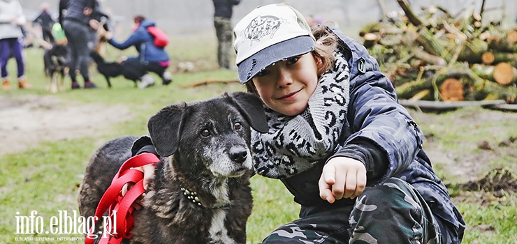 "Głównym celem akcji jest promocja adopcji bezdomnych zwierząt". Za nami Bieg na Sześć Łap